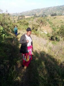 Marcelina journey