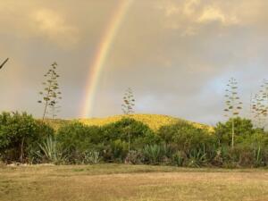 Pendaeli's first dayrainbow