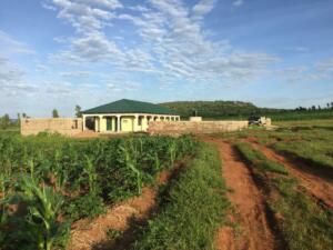 bhc 1 AND FARM2019