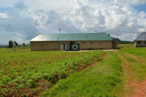 front with corn fields