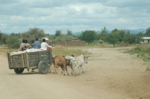 Cart
