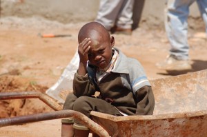 headache in the wheelbarrel